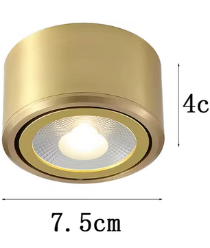 Koperen LED Plafondlamp – Moderne Opbouwspot Verstelbaar voor Gang & Woonkamer