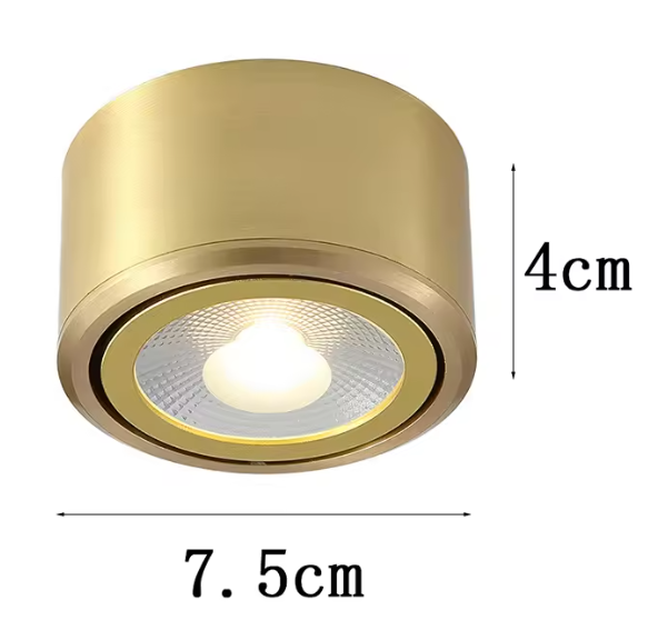 Koperen LED Plafondlamp – Moderne Opbouwspot Verstelbaar voor Gang & Woonkamer