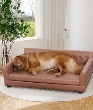 Luxe Hondenbank – Verhoogd PU-Leren Hondenbed met Kussen
