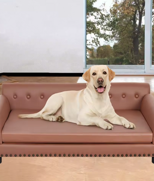Luxe Hondenbank – Verhoogd PU-Leren Hondenbed met Kussen