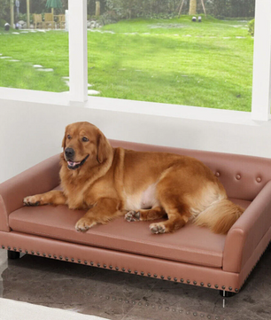 Luxe Hondenbank – Verhoogd PU-Leren Hondenbed met Kussen