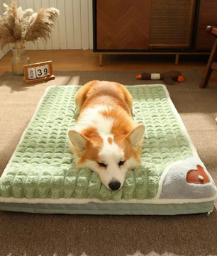 Orthopedisch Hondenbed – Afneembare & Machinewasbare Traagschuim Ligkussen