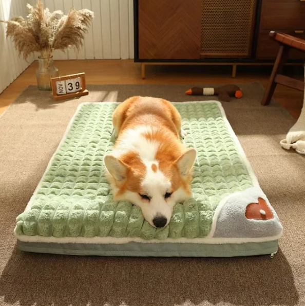 Orthopedisch Hondenbed – Afneembare & Machinewasbare Traagschuim Ligkussen