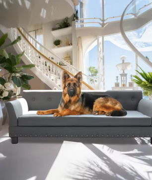 Luxe Hondenbank – Verhoogd Huisdierbed met Microfiber Leer & Houten Poten