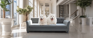 Luxe Hondenbank – Verhoogd Huisdierbed met Microfiber Leer & Houten Poten