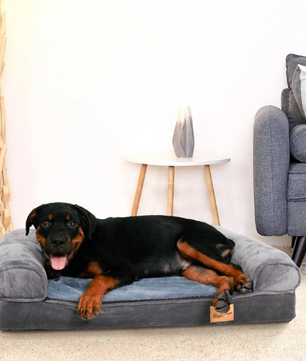 Extra Groot Hondenbed – Luxe Hondensofa met Wasbare Hoes & Steun