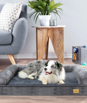 Extra Groot Hondenbed – Luxe Hondensofa met Wasbare Hoes & Steun