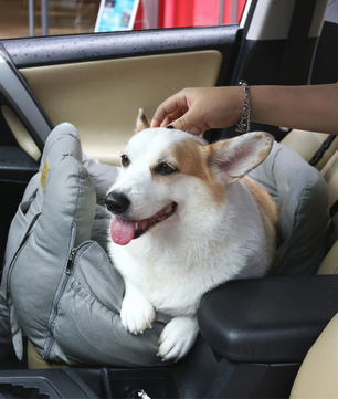 Hond Autostoelverhoger – Wasbare Reisdrager & Bed met Opbergvakken, Veilig & Comfortabel