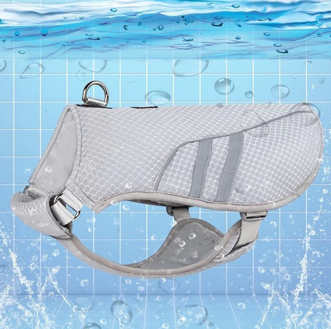 Hond Koelvest Zomer – Ademend & Reflecterend Harnas voor Snelle Afkoeling