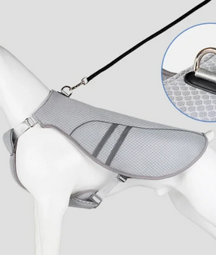 Hond Koelvest Zomer – Ademend & Reflecterend Harnas voor Snelle Afkoeling