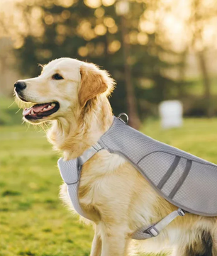 Hond Koelvest Zomer – Ademend & Reflecterend Harnas voor Snelle Afkoeling
