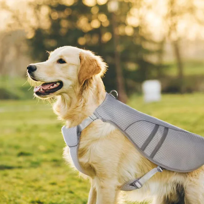 Hond Koelvest Zomer – Ademend & Reflecterend Harnas voor Snelle Afkoeling