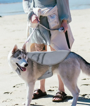 Hond Koelvest Zomer – Ademend & Reflecterend Harnas voor Snelle Afkoeling