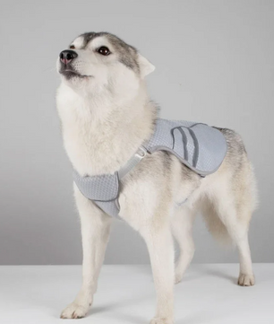 Hond Koelvest Zomer – Ademend & Reflecterend Harnas voor Snelle Afkoeling