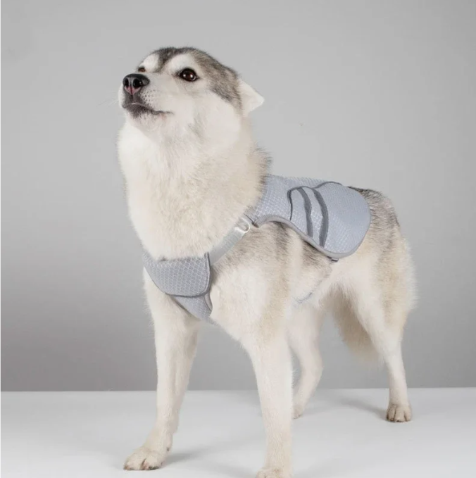 Hond Koelvest Zomer – Ademend & Reflecterend Harnas voor Snelle Afkoeling