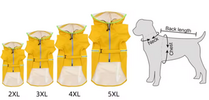 Regenjas voor Grote Honden – Transparant, Reflecterend & Winddicht