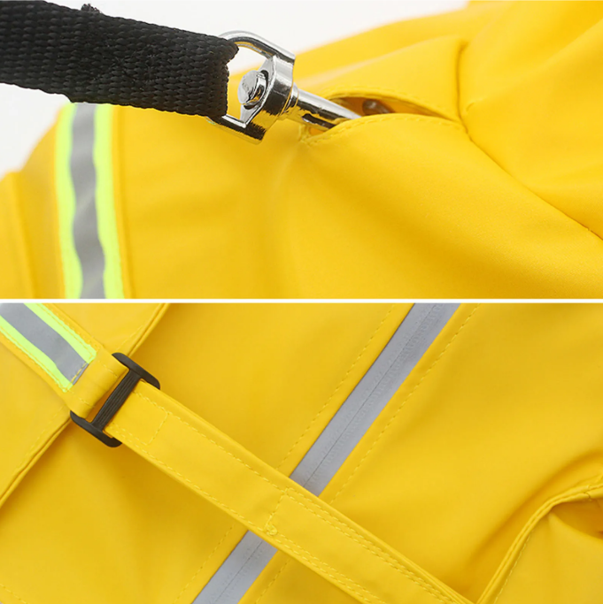 Hondenregenjas met Transparante Kap – Waterdicht, Reflecterend & Winddicht