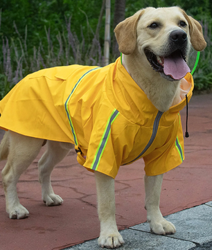 Regenjas voor Grote Honden – Transparant, Reflecterend & Winddicht