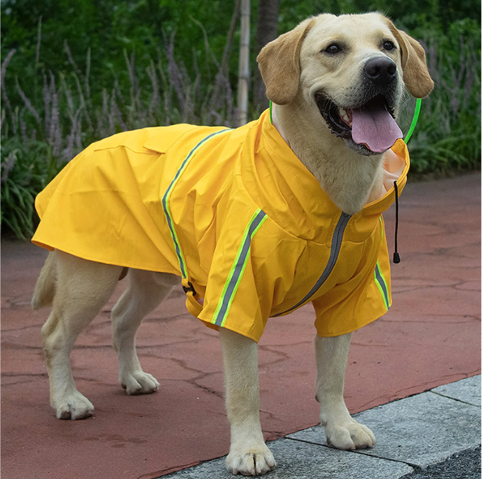 Regenjas voor Grote Honden – Transparant, Reflecterend & Winddicht