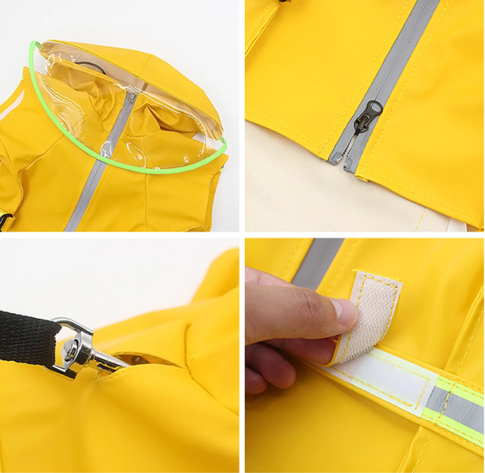 Regenjas voor Grote Honden – Transparant, Reflecterend & Winddicht