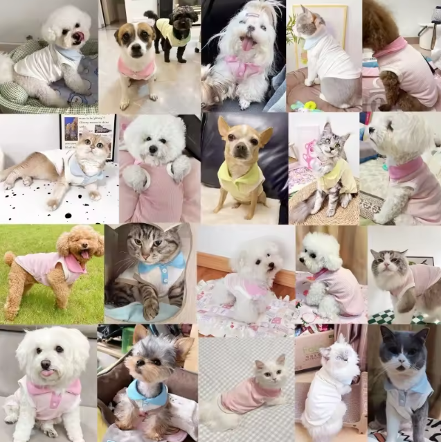 Zomer Hond Poloshirt – Ademend, Modieus & Comfortabel