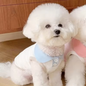 Zomer Hond Poloshirt – Ademend, Modieus & Comfortabel