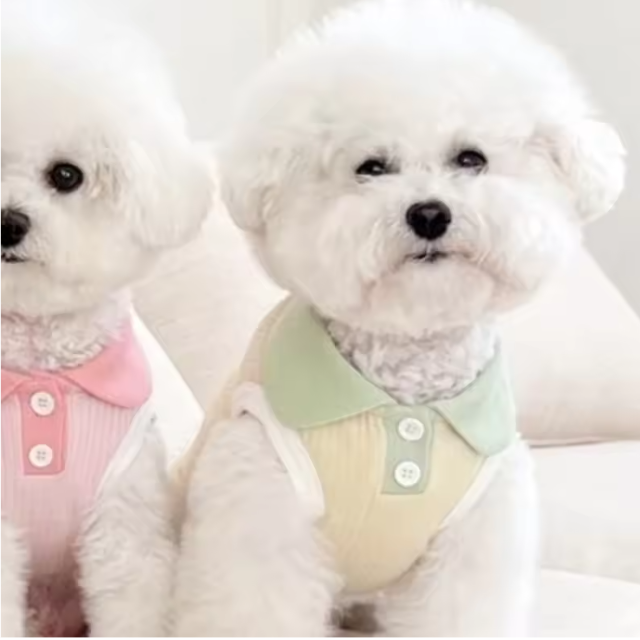 Zomer Hond Poloshirt – Ademend, Modieus & Comfortabel