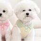 Zomer Hond Poloshirt – Ademend, Modieus & Comfortabel