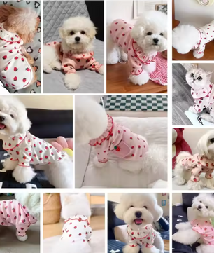 Zomer Honden T-shirt met Aardbeienprint – Ademend & Comfortabel