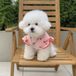 Zomer Honden T-shirt met Aardbeienprint – Ademend & Comfortabel