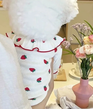Zomer Honden T-shirt met Aardbeienprint – Ademend & Comfortabel
