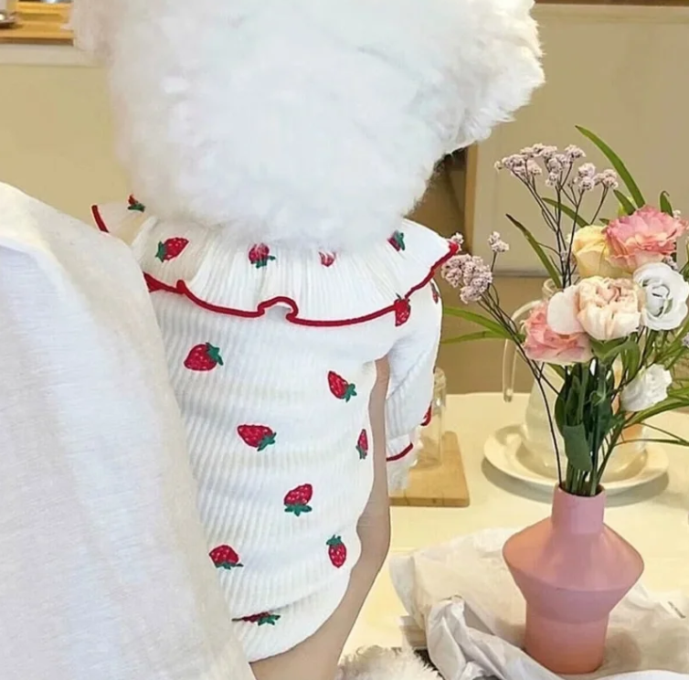 Zomer Honden T-shirt met Aardbeienprint – Ademend & Comfortabel