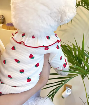Zomer Honden T-shirt met Aardbeienprint – Ademend & Comfortabel