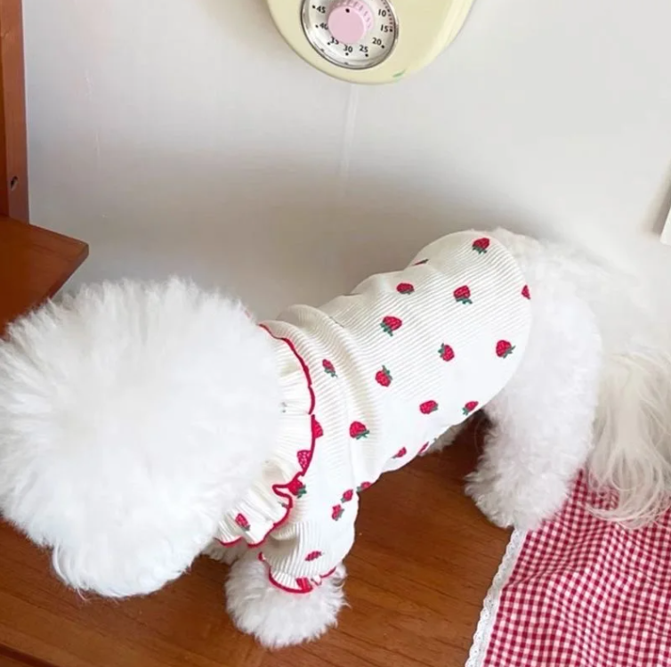 Zomer Honden T-shirt met Aardbeienprint – Ademend & Comfortabel