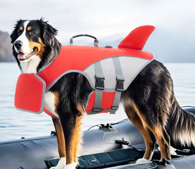 Honden Zwemvest met Haaienvin – Veilig, Verstelbaar & Comfortabel