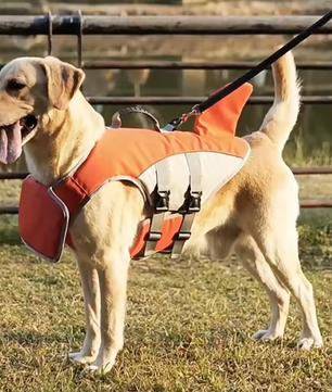Honden Zwemvest met Haaienvin – Veilig, Verstelbaar & Comfortabel