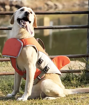 Honden Zwemvest met Haaienvin – Veilig, Verstelbaar & Comfortabel