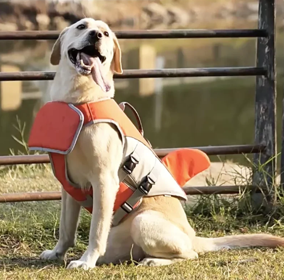 Honden Zwemvest met Haaienvin – Veilig, Verstelbaar & Comfortabel