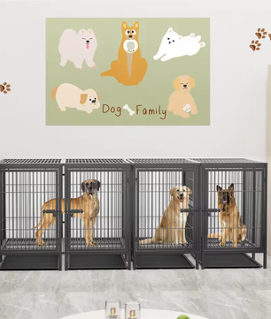2-in-1 Grote Metalen Hondenkooi – Robuuste Dubbele Kennel met Verdeler & Uitschuifbare Lade