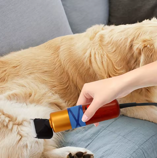 Elektrische Scheermachine voor Huisdieren – Dierenbontschaar met Variabele Snelheid & Gereedschapskist