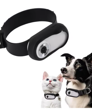 HD Huisdiercamera met Halsband – 1080P Video & Foto, LCD-scherm en Groothoeklens