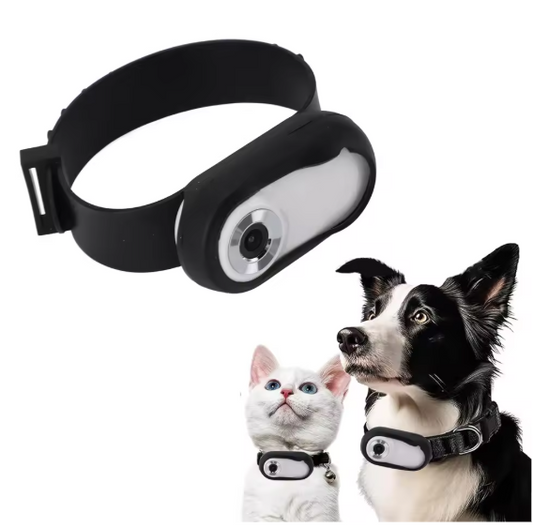 HD Huisdiercamera met Halsband – 1080P Video & Foto, LCD-scherm en Groothoeklens