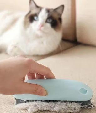 Huisdierhaar Verwijderborstel – Herbruikbare Haarremover voor Bank, Auto & Tapijt