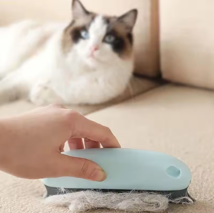 Huisdierhaar Verwijderborstel – Herbruikbare Haarremover voor Bank, Auto & Tapijt
