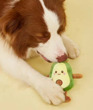 Avocado Hondenspeelgoed – Pluche Knuffel & Kauwspeeltje, 15 cm