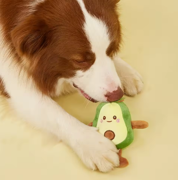 Avocado Hondenspeelgoed – Pluche Knuffel & Kauwspeeltje, 15 cm