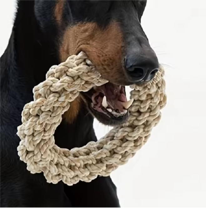 Hondenspeelgoed Touw – Duurzaam Kauw- & Bijtspeelgoed voor Middelgrote Honden