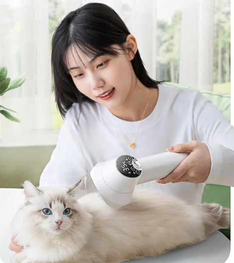 Intelligente Huisdier Föhn – LED Display & Instelbare Temperatuur voor Hond en Kat