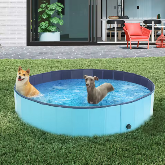 Opvouwbaar Hondenzwembad – PVC, 80 × 20 cm, Draagbaar en Duurzaam