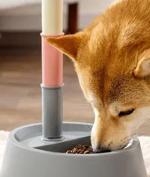 Automatische Voerbak voor Honden en Katten – Met Waterdispenser & Verhoogde Standaard